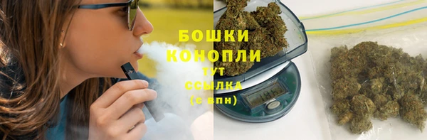 гидра Пестово