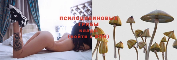спайс Алзамай