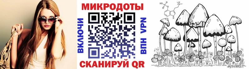 Галлюциногенные грибы Psilocybine cubensis  где купить наркотик  Сортавала 